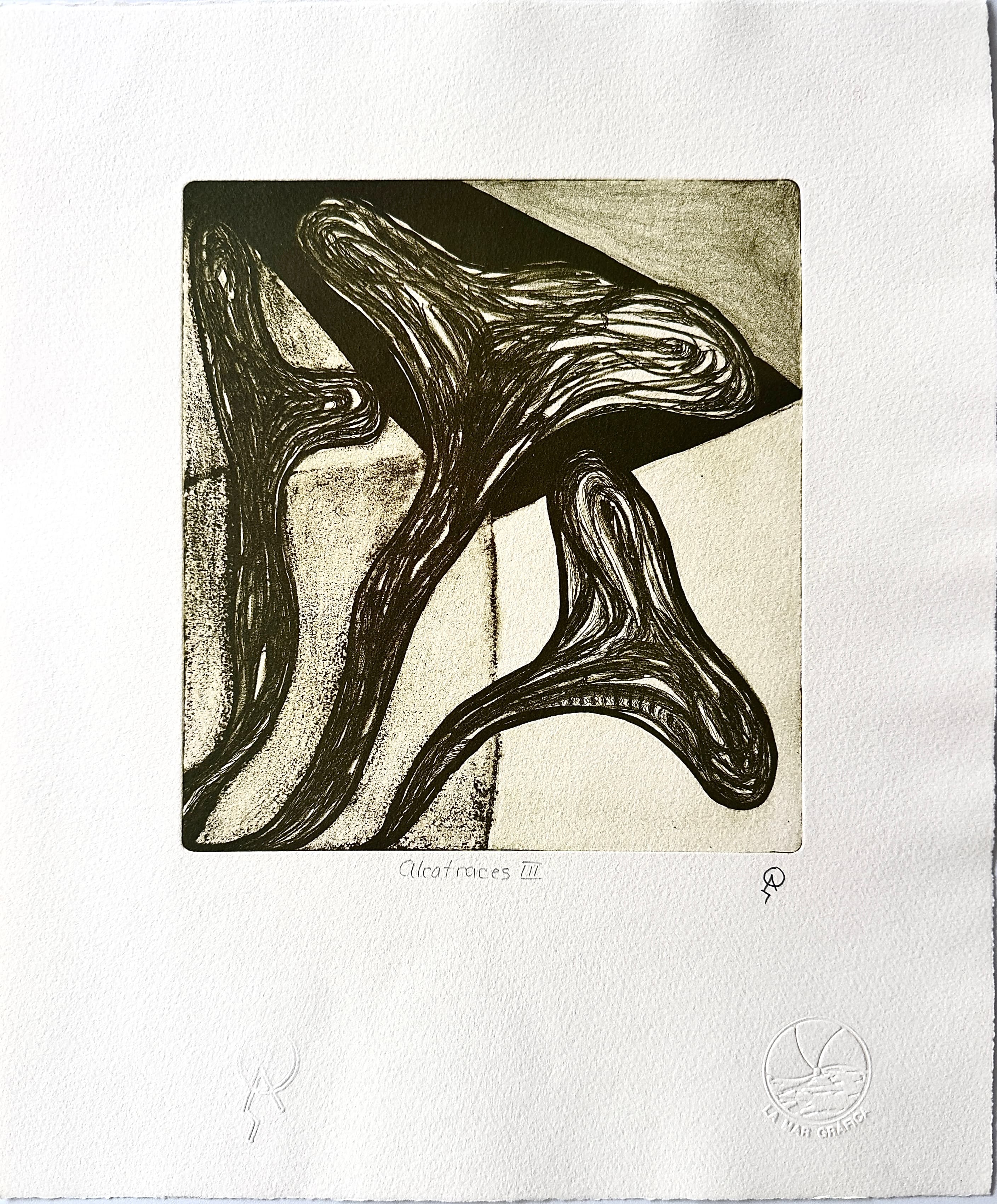 Alcatraces III by Patricia Arriola, Litografía en seco / papel de algodón Guarro Super Alfa, 2025