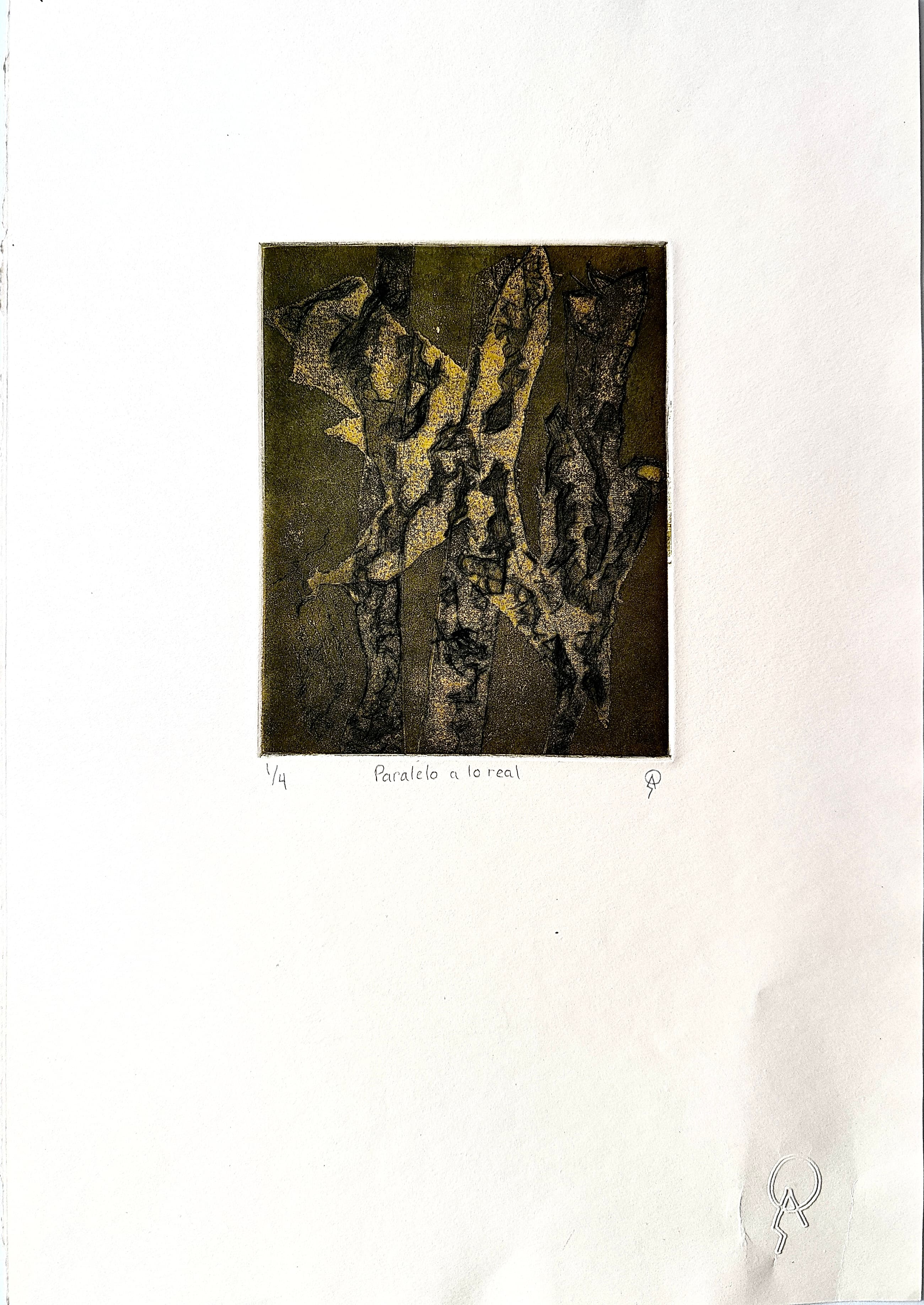 Paralelo a lo real by Patricia Arriola, Aguatinta, punta seca / papel de algodón Guarro super Alfa. Serie 1/4, 2019