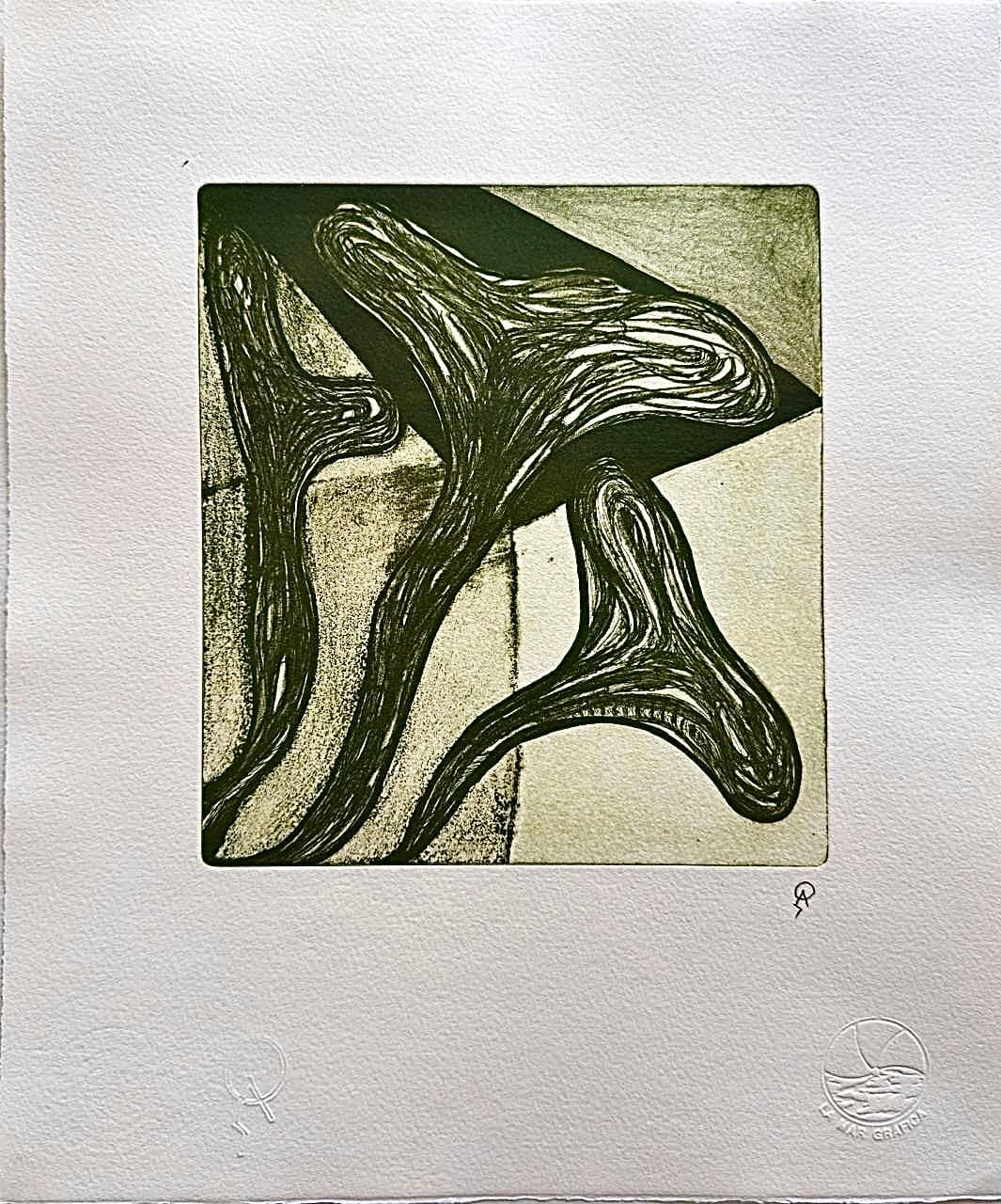 Alcatraces I b by Patricia Arriola, Litografía en seco / papel de algodón Guarro Super Alfa, 2025