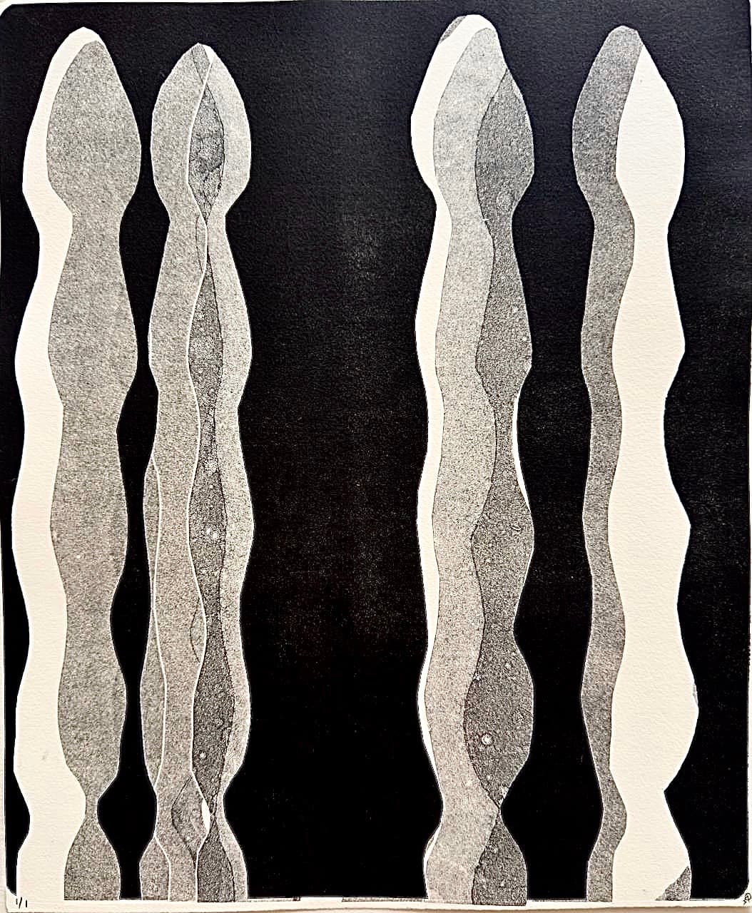 Desliz III by Patricia Arriola, Monotipo / papel de algodón Guarro Super Alfa, 2025