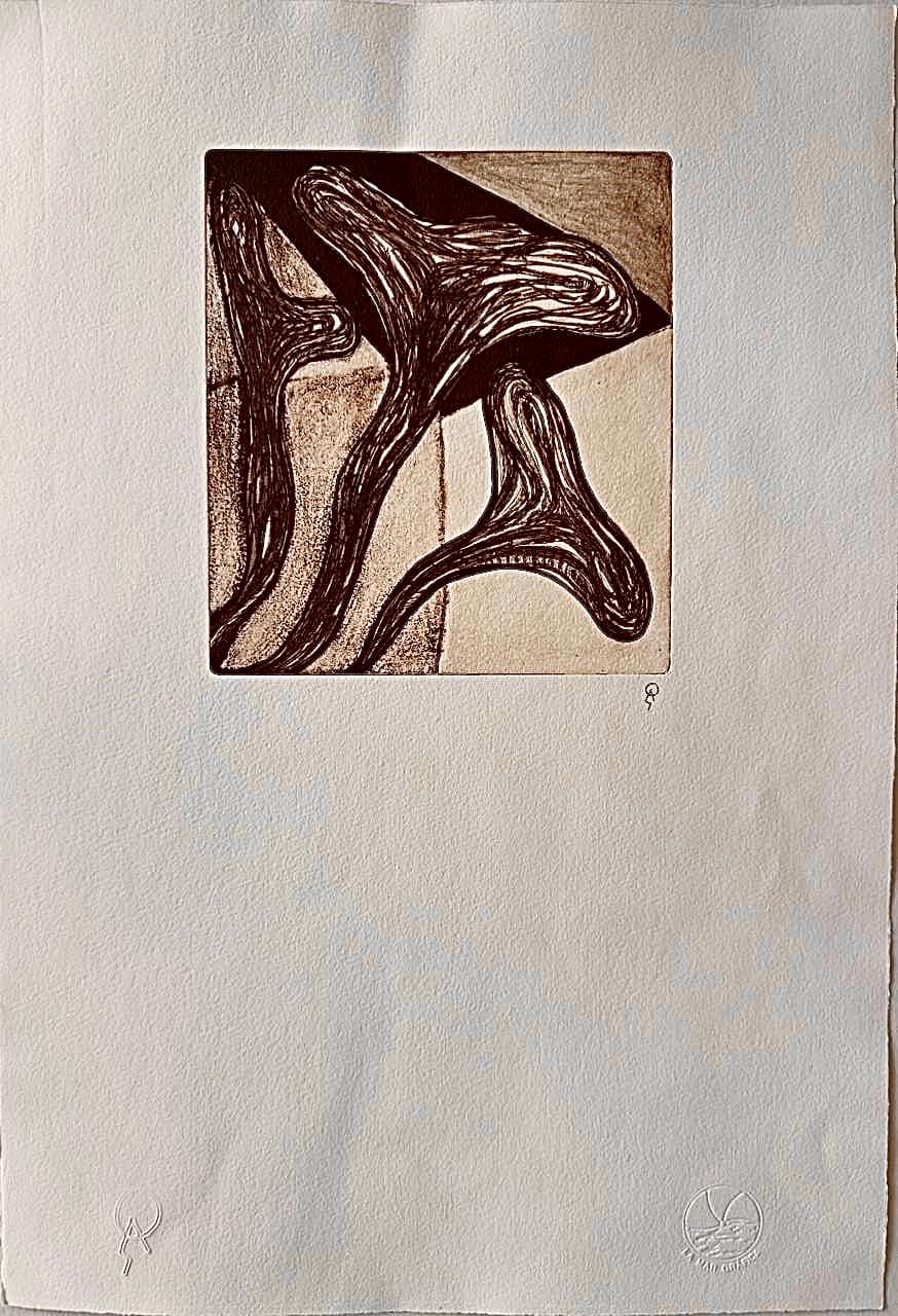 Alcatraces II II by Patricia Arriola, Litografía en seco / papel de algodón Guarro Super Alfa, 2025