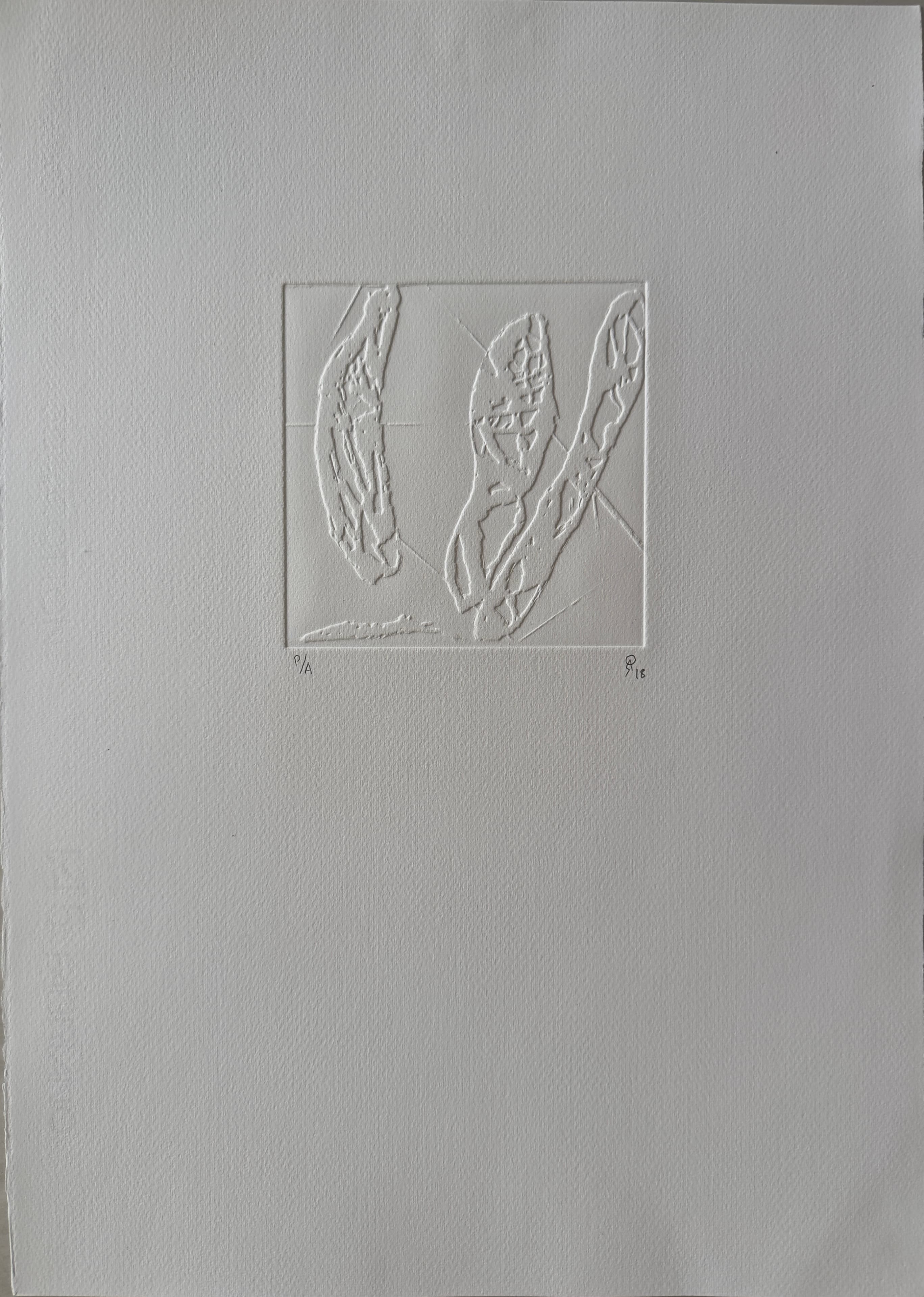 S/T by Patricia Arriola, Gofrado / papel de algodón Fabriano, 2018