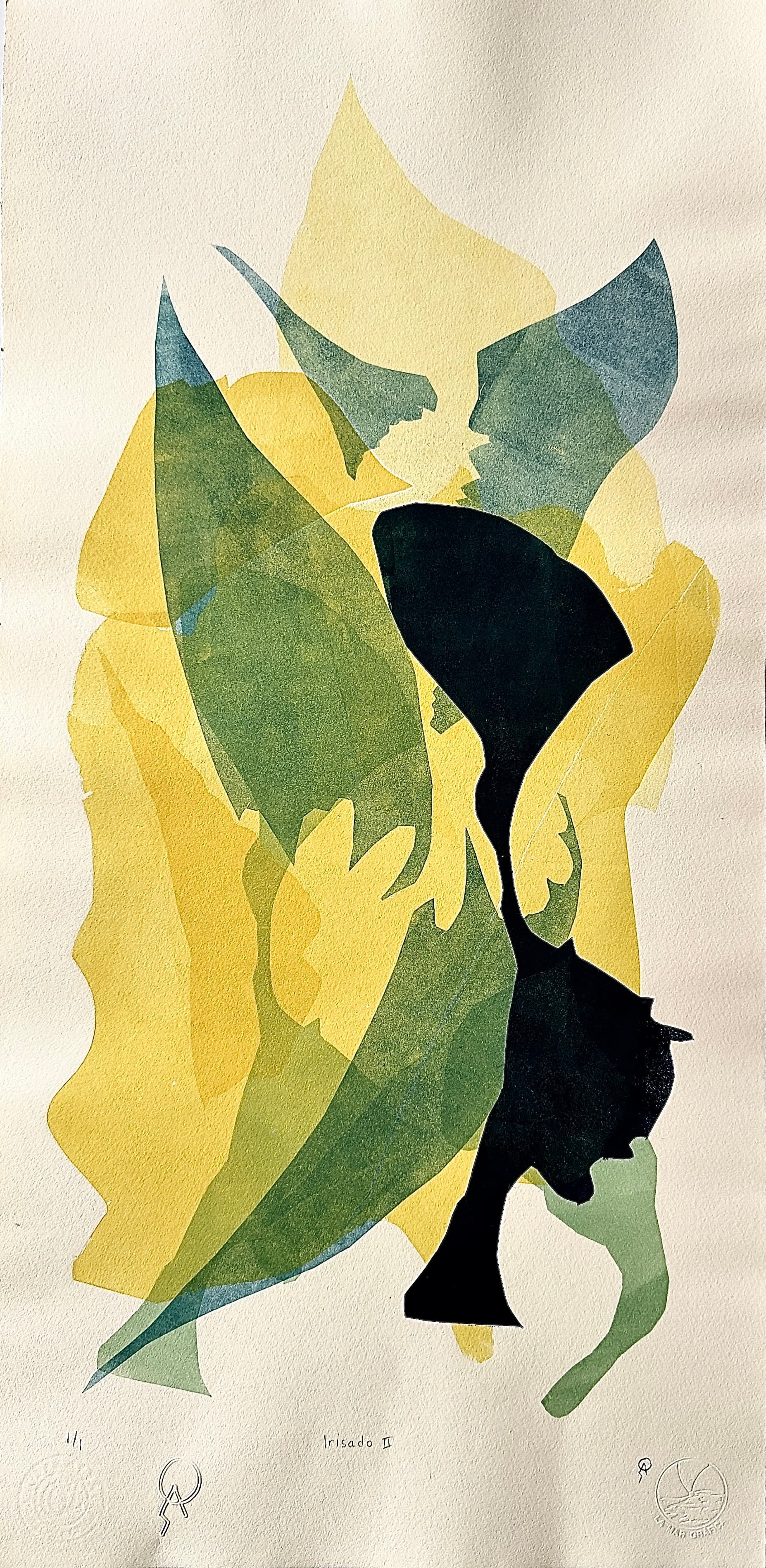 Irisado II by Patricia Arriola, Monotipo / papel de algodón Guarro super Alfa, 2025