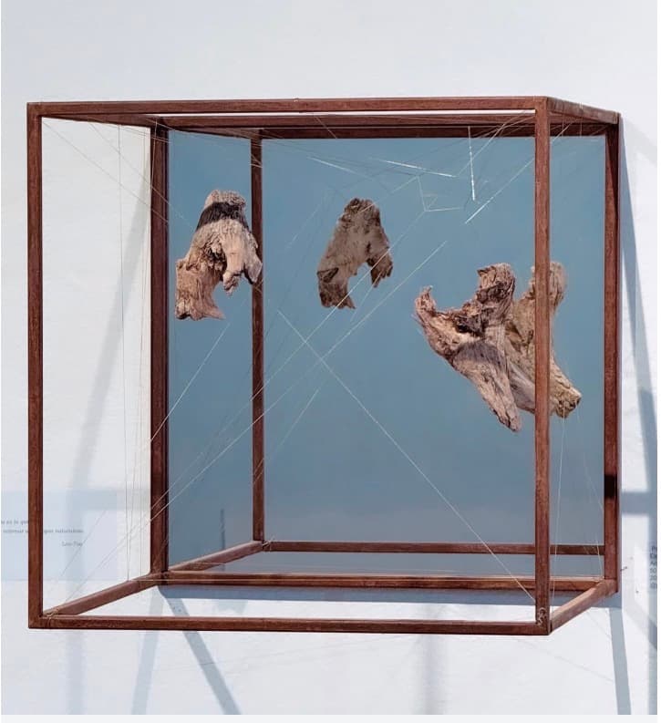 Estado quieto by Patricia Arriola, Escultura acero, alambre de cobre, espejo y madera, 2024